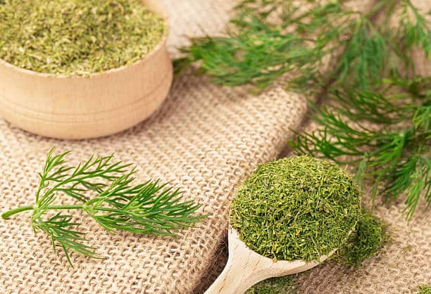 تصویر 3 از شوید خشک یا پودری خوش‌ عطر و پر کاربرد در آشپزی خانگی